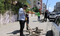 Solin Caddesi Yeşile Bürünüyor: 100 Tespih Ağacı Yolda