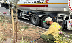 ARAÇ KİRALAMA HİZMETİ ALINACAKTIR