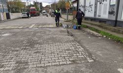 TEMİZLİK Kampanyası KARŞIYAKA'DA DEVAM ETTİ