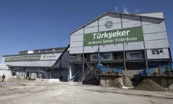 Şeker Fabrikası İşçi Alımı Şartları Neler, Kimler Başvurabilir? (2026)