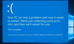 Your device ran into a problem and needs to restart hatası
