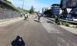 25 Kişilik Ekiple Mahalle Temizlendi