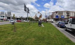 3 Mahallede Genel Temizlik Çalışması Gerçekleştirildi