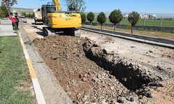 Batman’da Mahalle Mahalle Asfalt, Kaldırım ve Yeni Yol Atağı