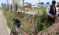 Batman’ın Girişleri Baştan Sona Yeşilleniyor