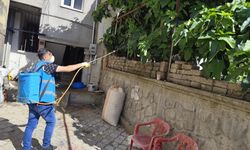 Bayram Boyunca İlaçlama Devam Edecek