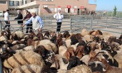 Binlerce Yetimin Sofrasına Bayram Bereketi
