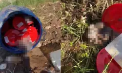 Bidon içinde 21 cenin bulunması olayı nedir, nerde oldu?