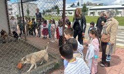 Minik Yürekler Can Dostlarla Buluştu