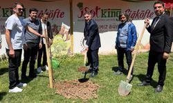 Teknolojiyle Yeşil Gelecek Buluştu: Festivalde Fidanlar Toprakla Buluştu!