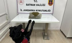 Ticari Takside Skunk Operasyonu