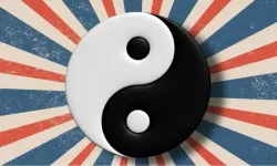 YKS AYT yin yang sorusu ve cevabı nedir?