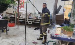 2 metre uzunluğunda yılan yakalanarak doğaya bırakıldı