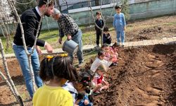 Anaokulunda Doğayla İç İçe Eğitim