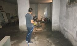 Batman Belediyesi’nden Haşere Açıklaması: “Geçici Bir Doğal Süreç”