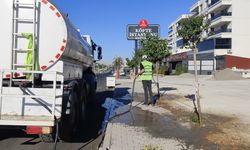 Batman’da Binlerce Fidan Geleceğe Hazırlanıyor