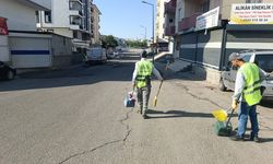 Batman’da Mahalle Mahalle Hijyen Çalışması