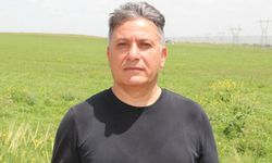 Buğday Fiyatı Çiftçiyi Tatmin Etmedi: TMO’ya Zam Çağrısı