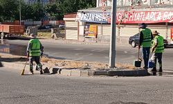 Çamlıca Ve Petrol Mahallelerinde Kapsamlı Temizlik Çalışması
