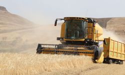 Çiftçinin Yüzü Verimle Güldü, Fiyat ve Destekler Moralleri Bozdu
