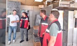 Gıda İşletmelerine Kapsamlı Denetim