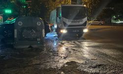 Gültepe Su Parkı'nda Vinçli Konteynerler Dezenfekte Edildi