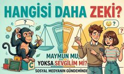 Maymun mu daha zeki sevgilim mi soruları! ve cevapları nedir?