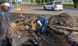 Park Ve Bahçeler Müdürlüğü’nden 6 Ayda 8 Bin 779 İşlem