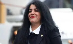 Marjane Satrapi Kimdir, Ölüm Sebebi Nedir, Neden Öldü? (Yaşamı ve Kitapları)