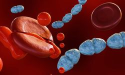 Sepsis ne demek, kan zehirlenmesi nasıl olur?