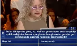 TUFAN HİKÂYESİNE GÖRE, HZ. NUH'UN GEMİSİNDEN SULARIN ÇEKİLİP ÇEKİLMEDİĞİNİ ANLAMAK İÇİN GÖNDERİLEN GÜVERCİN, GEMİYE GERİ DÖNDÜĞÜNDE AĞZINDA HANGİSİNİ TAŞIMAKTAYDI?