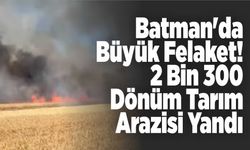 Batman'da Büyük Felaket! 2 Bin 300 Dönüm Tarım Arazisi Yandı