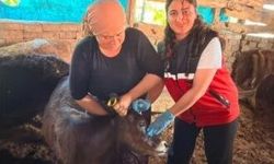 Batman'da Çiftçilere Yerinde Destek