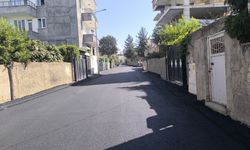 Batman'da Fen İşleri Ekipleri Yaz Mesaisini Hızlandırdı