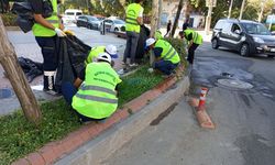Batman’da Park ve Refüjlerde Kapsamlı Temizlik