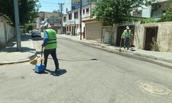 Batman'da Temizlik Seferberliği: Ekipler Mahalle Mahalle Sahada