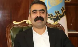 DEM Partili Doğan Hatun Görevinden İstifa Etti: "Beklentilere Cevap Veremedim"
