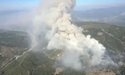 Muğla Seydikemer yangın SON DAKİKA! Seydikemer yangın mı çıktı, son durum nedir? Fethiye yangın SON DAKİKA!