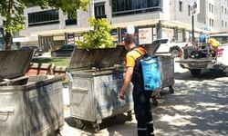 İlaçlama Kent Genelinde Sürüyor