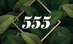 555K Olayı Nedir?