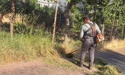 Kaldırımlardaki Yabani Otlar Temizleniyor