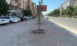 O Bulvar Yeni Görünümüne Kavuşuyor