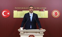"Suça sürüklenen çocuklar sorununda ceza ve sosyal politika dengesi sağlanmalı"