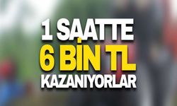 1 Saatte 6 Bin TL Kazanıyorlar! Karadeniz'de Yılın En Kazançlı Mesleğinin Saatlik Ücreti Belli Oldu