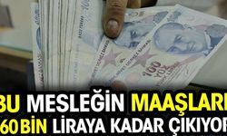 İş Arayanlar Dikkat: Bu Meslekte Başlangıç Maaşı 55 Bin TL! Lisansı Alan 160 Bin TL Kazanç Sağlıyor
