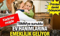 Ev Hanımlarına Devlet Destekli Emeklilik Müjdesi! Primlerin 3'te 1'ini Devlet Ödeyecek: İşte Başvuru Şartları ve Çocuk Desteği