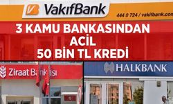 Kamu Bankasından Dev Adım: 50 Bin TL Acil İhtiyaç Kredisi Destek Paketi Başladı