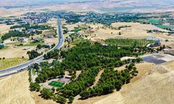 TAŞINMAZ MAL SATIŞ İHALESİ YAPILACAKTIR