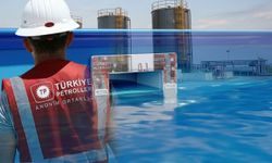 YÜZEYSEL SKİMMER SATIN ALINACAKTIR