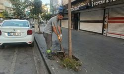 Kentin Hijyenik Kalmasını Sağlamak İçin Uğraşıyorlar